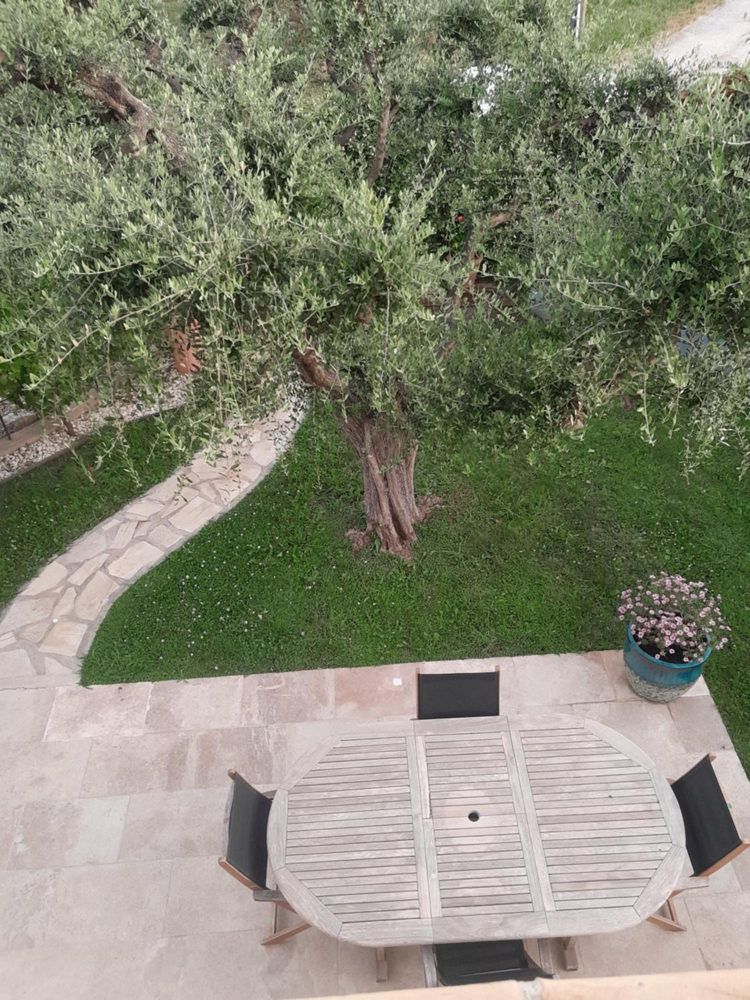 Chambres D Hotes Violetta Йер Экстерьер фото